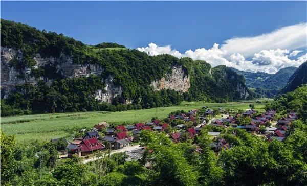《尋味臨滄》  永德骨頭參 來臨滄旅游必吃的特色美食之三