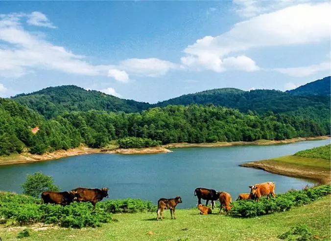 云南臨滄云縣亮山天池平河水庫戶外拓展基地