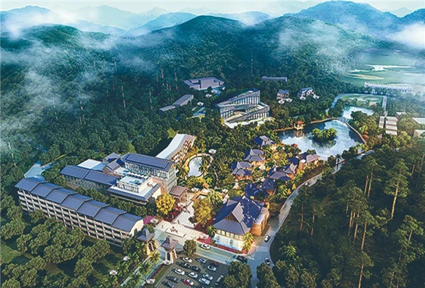 鄉村旅游看臨滄丨冰島茶文化園——南方有嘉木 冰島有古茶