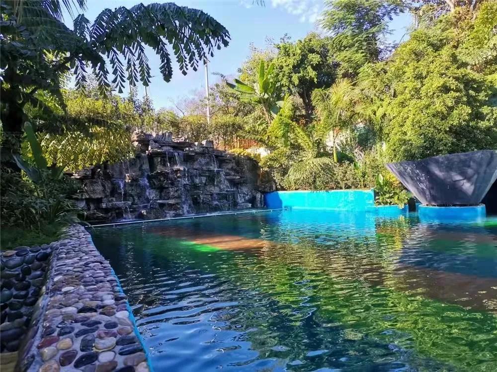 臨滄旅游：冬日美美的地熱溫泉康養二日之旅